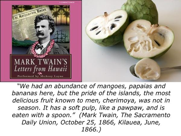Mark Twain and Connecticut's Champion Pawpaw Tree