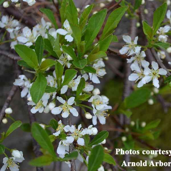 Bodibilder ayol bilan jinsiy aloqa video Danielle Sperrle jinsiy aloqa