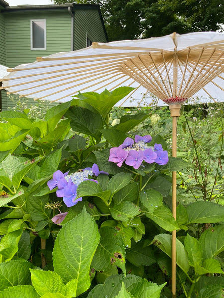 garden_umbrella_9_grande.jpg?v