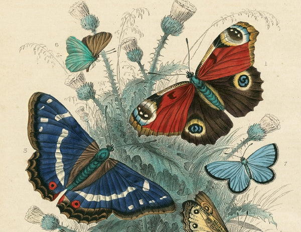 Artisan Puzzle- John Derian Paper Goods, "Dancing Butterflies"