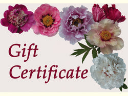 Cricket Hill Garden Gift Certificate