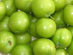 Prunus spp., 'Persian Green' Plum
