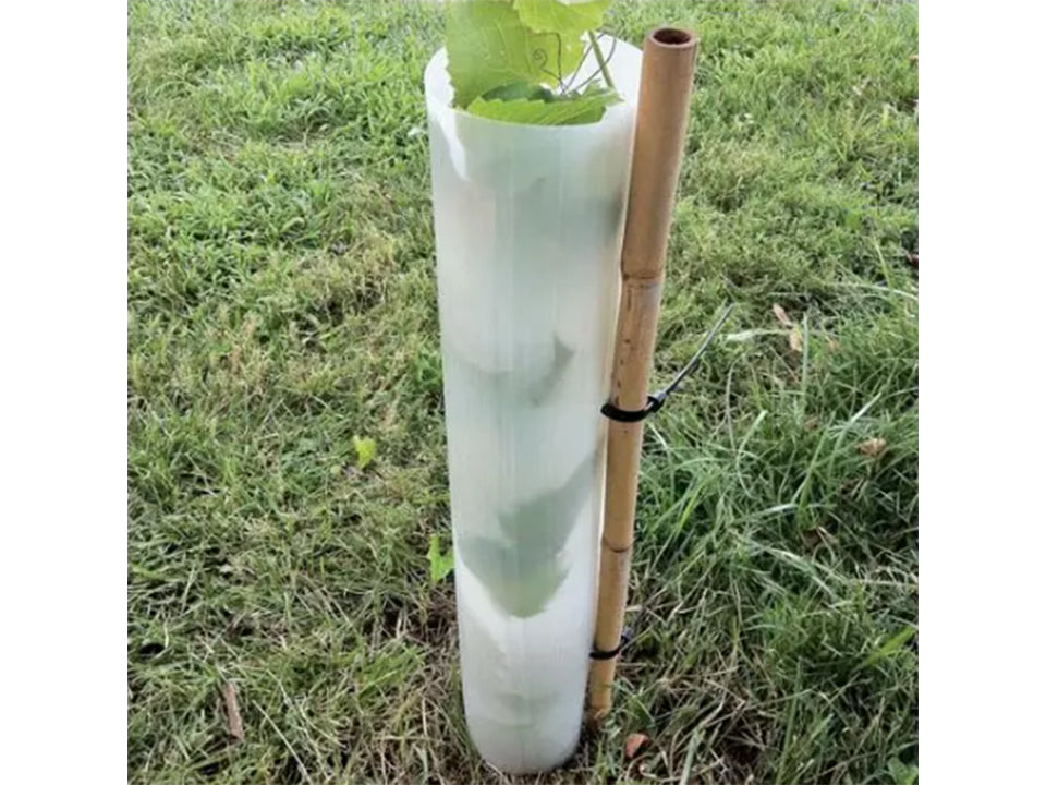 Tree Tube, 48